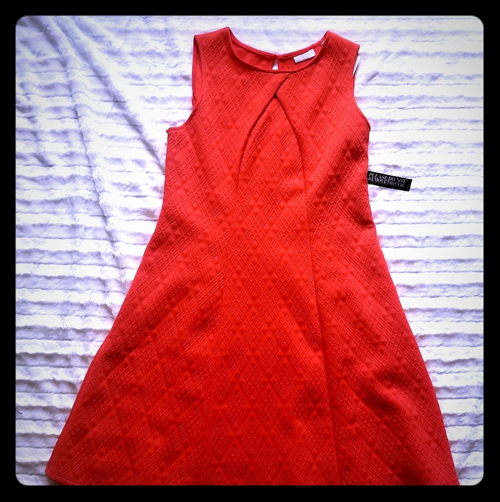Deep Orange Sleeveless Textured Dress